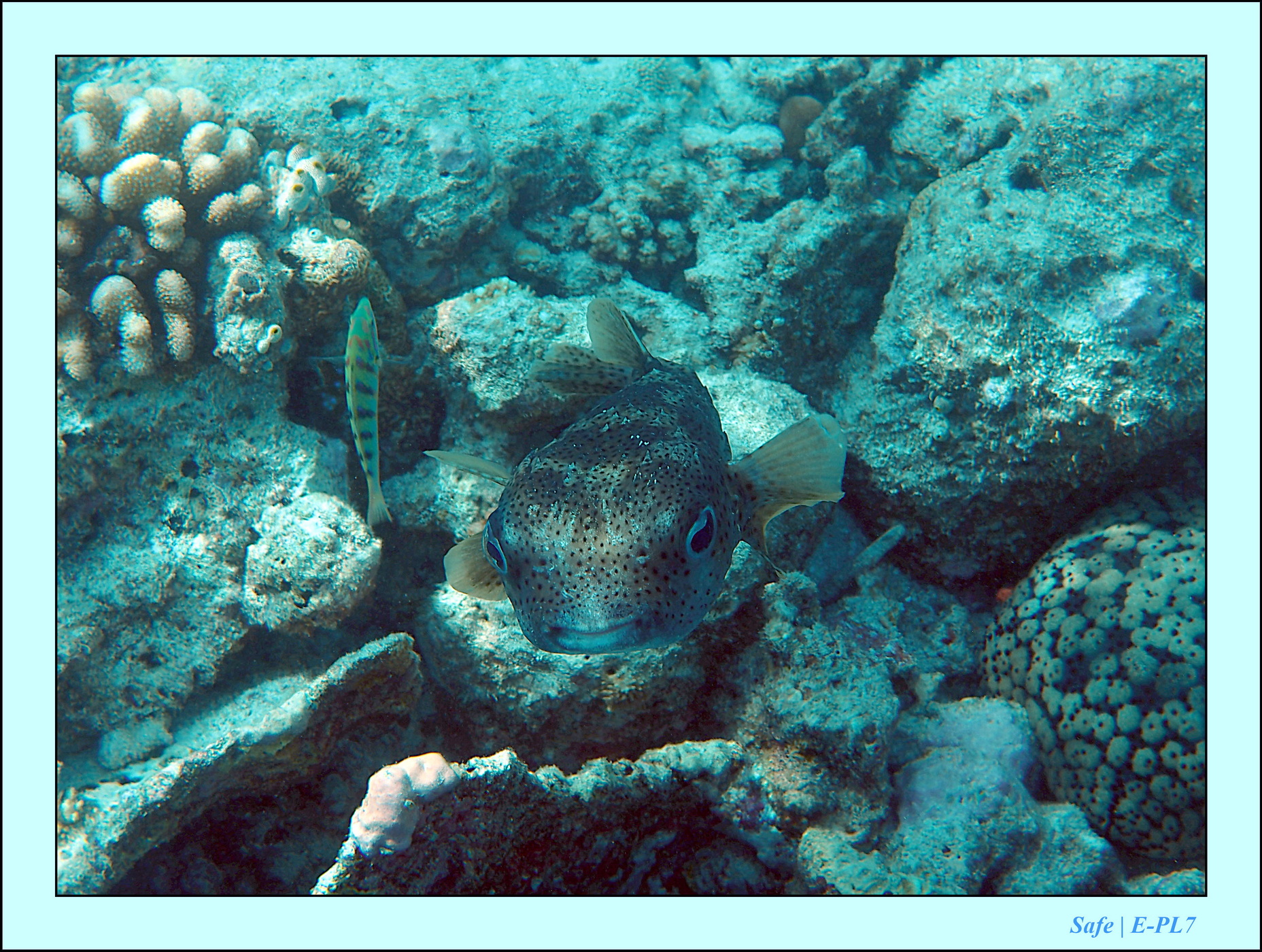 2023 - 07 - Sandies Bathala - 145